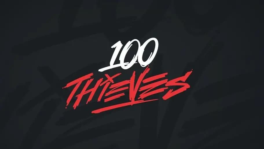 Niente più competizioni di Counter-Strike: Global Offensive per i 100 Thieves
