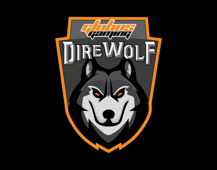 I Direwolf entrano a far parte della Globus Gaming!